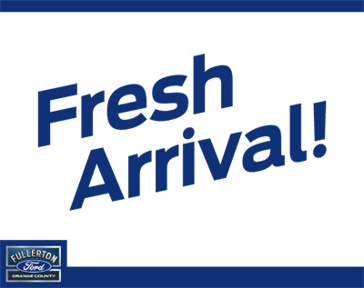 2023 Ford Expedition Platinum's photo