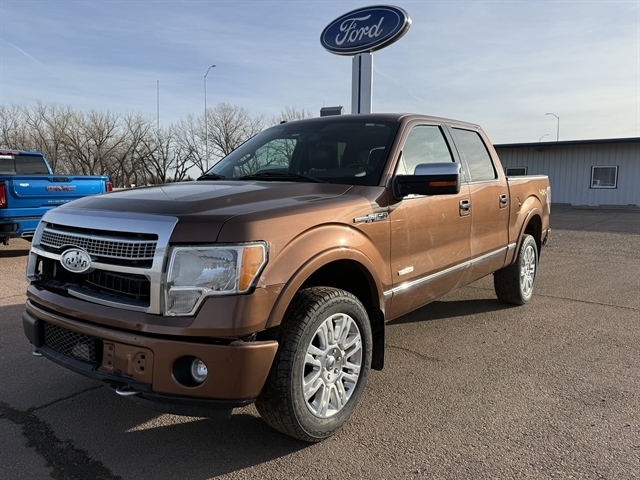 2011 Ford F-150 Platinum's photo