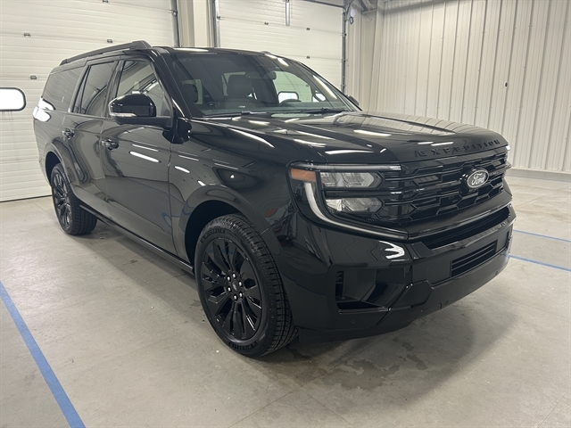 2025 Ford Expedition Platinum's photo