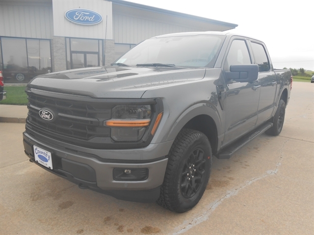 2025 Ford F-150 XLT's photo