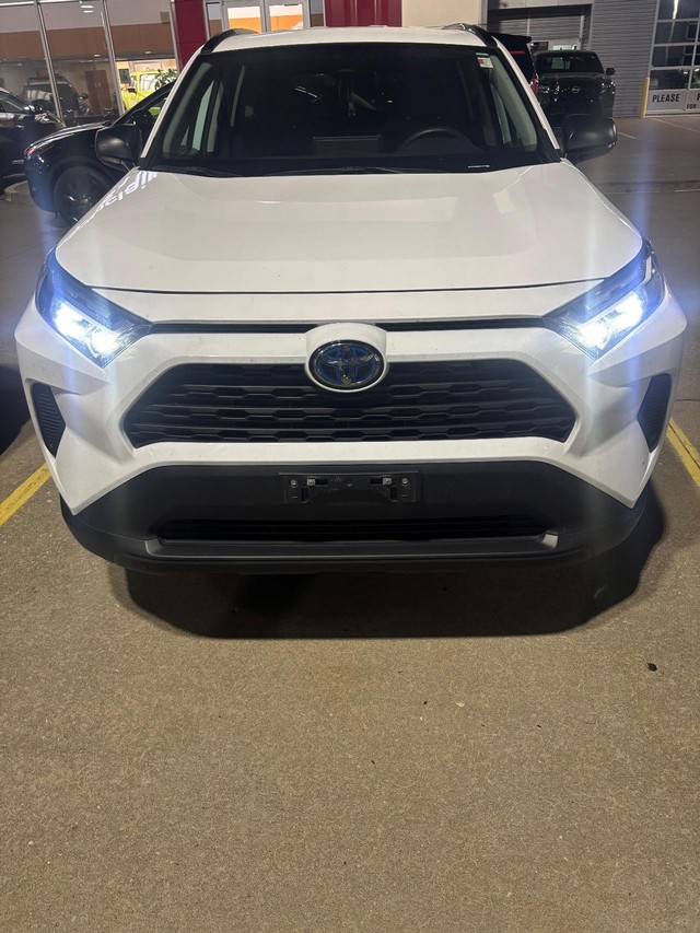 2024 Toyota RAV4 LE's photo