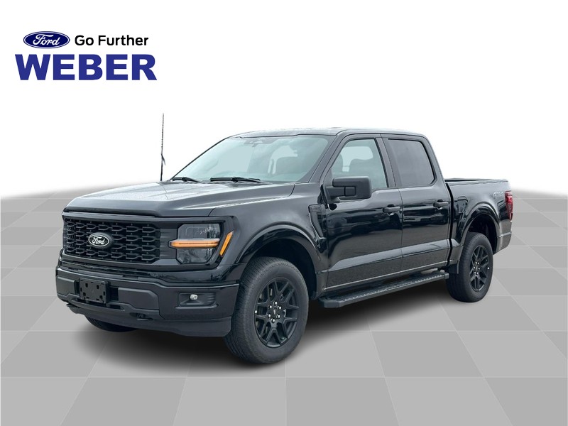 2025 Ford F-150 STX's photo