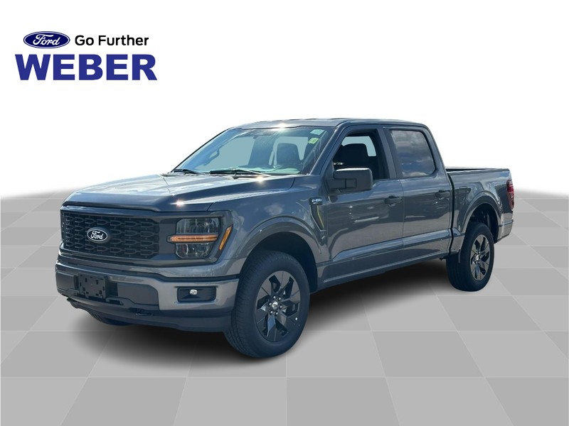 2025 Ford F-150 STX's photo