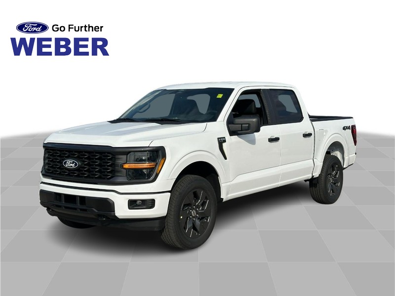 2025 Ford F-150 STX's photo