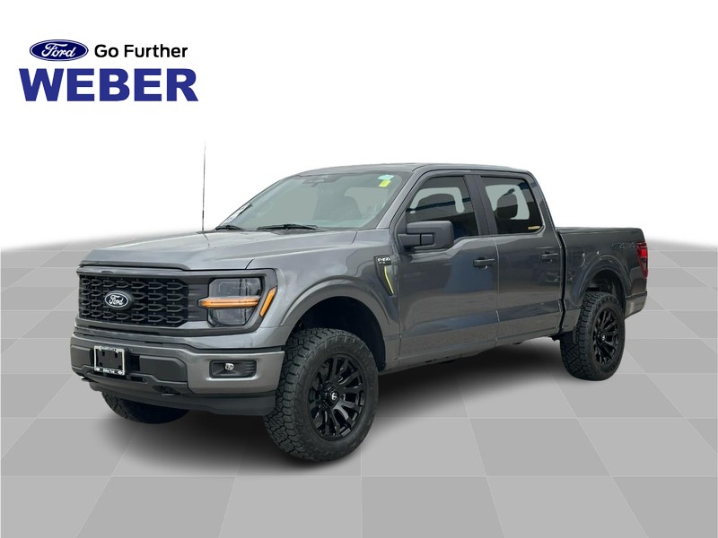 2025 Ford F-150 STX's photo