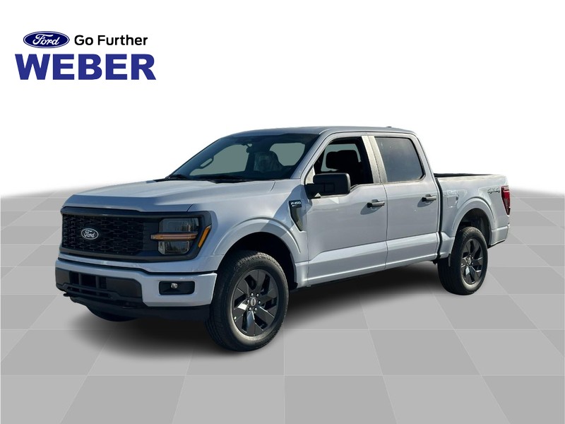 2025 Ford F-150 STX's photo