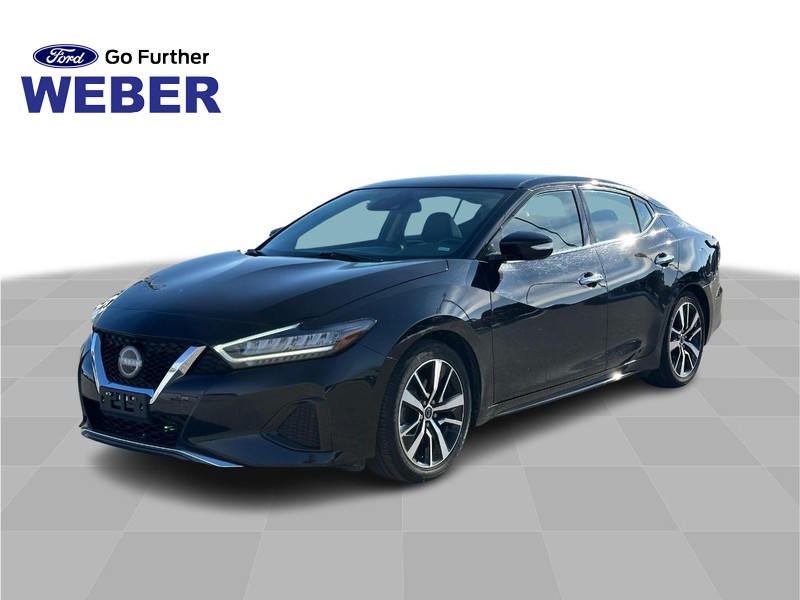 2023 Nissan Maxima SV's photo